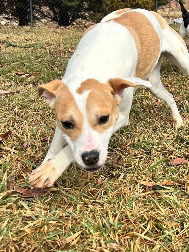 Marshmello - Photo 3