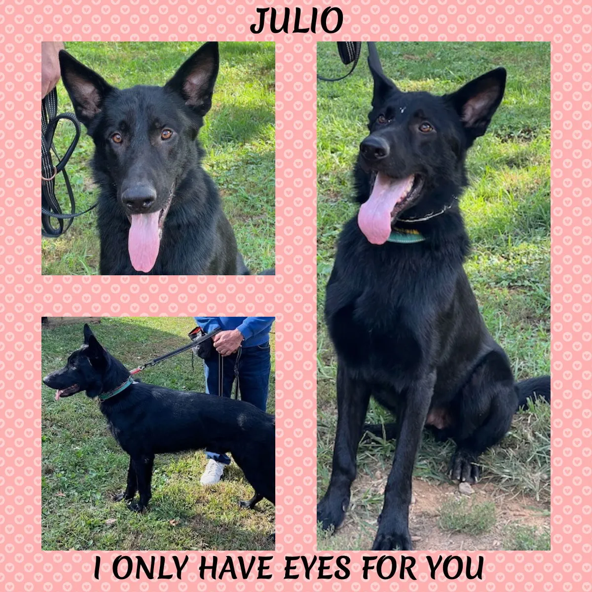 Julio - Photo 2