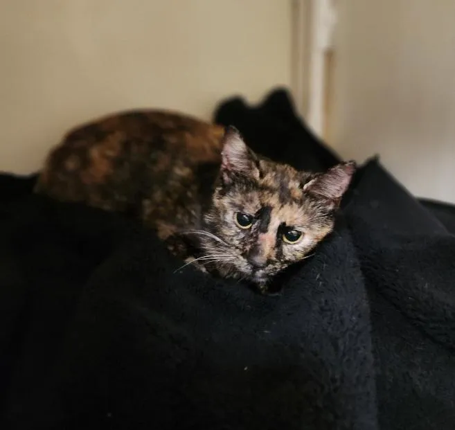 Bobbi Jean - Photo 3