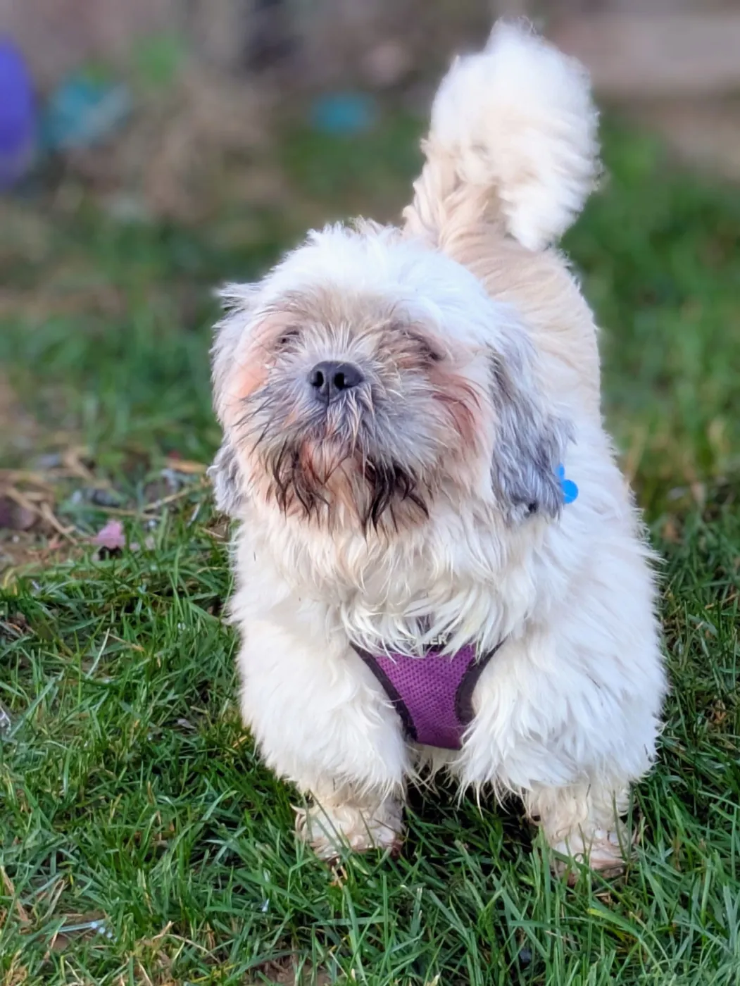 Clarabelle - Photo 4