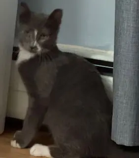 Pooh Bear thumbnail 2