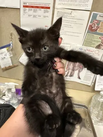 Prosperity thumbnail 2