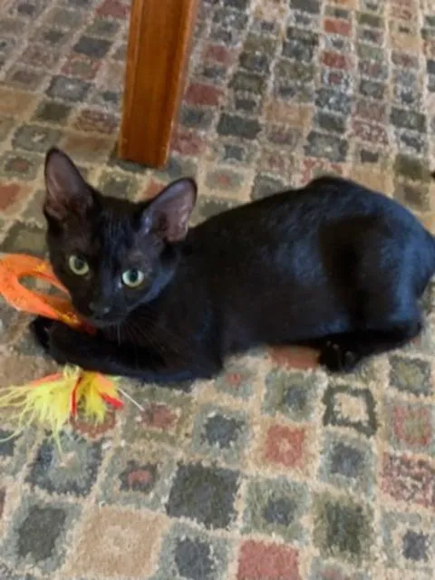 Prosperity - Photo 3