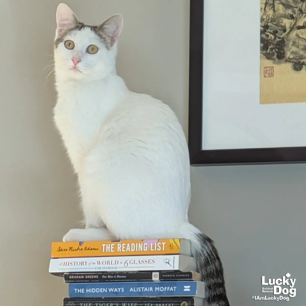 Bittie Casper - Photo 2