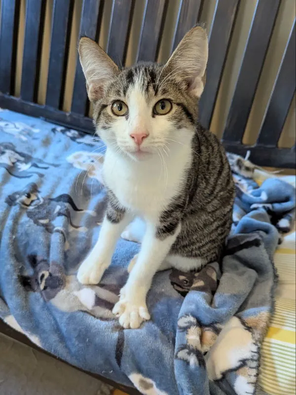 Vanderbilt - Photo 2