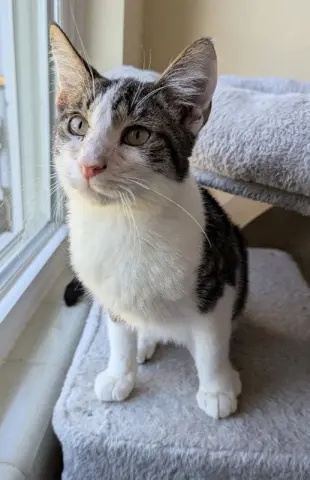 Vanderbilt thumbnail 3