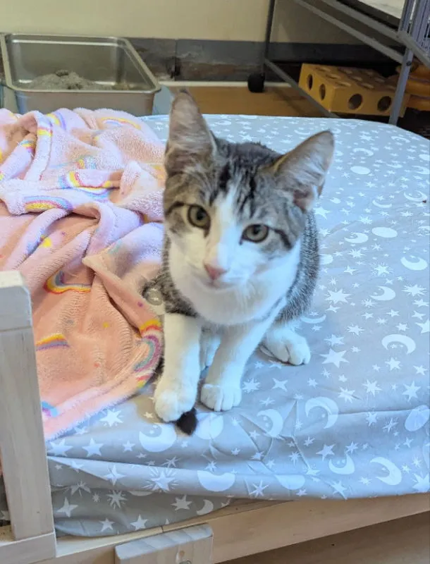 Vanderbilt - Photo 4