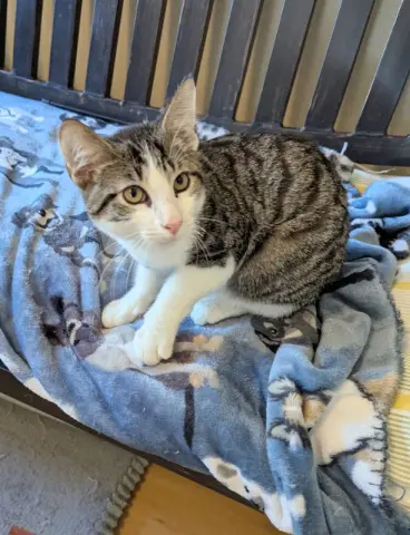 Vanderbilt thumbnail 5