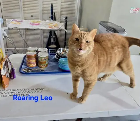 Leo