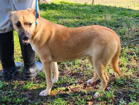 Tinkerbell thumbnail 3