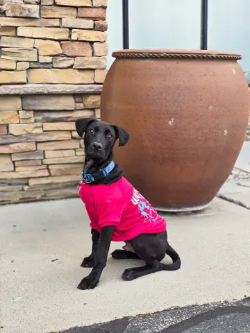 Steinbeck thumbnail 3