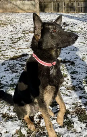 Berkeley thumbnail 4