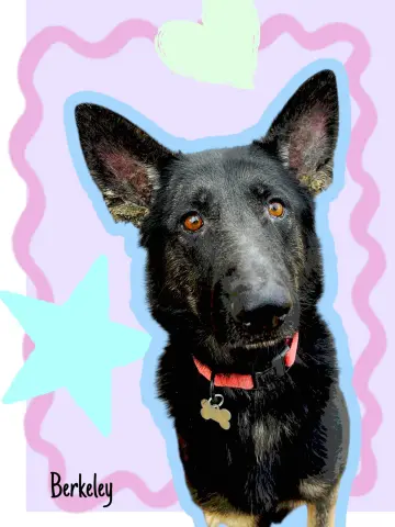 Berkeley thumbnail 5