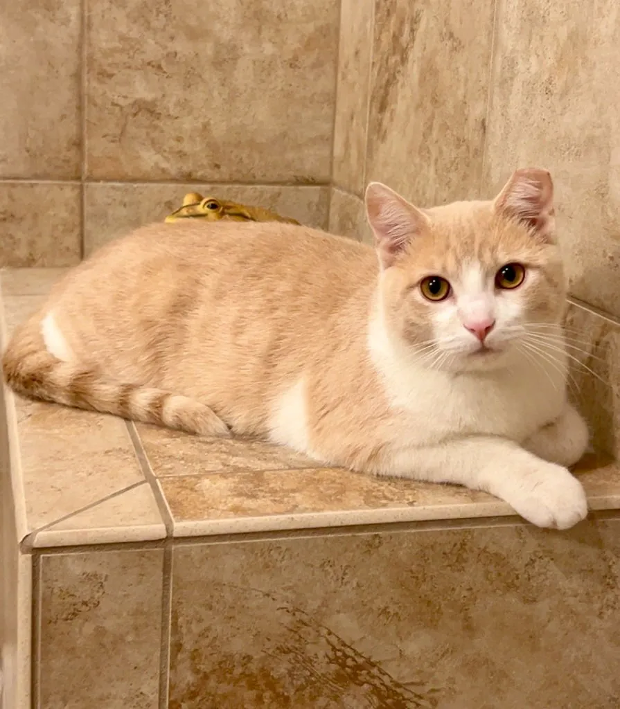 Slackwater - Photo 1