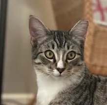 Marky Mark - Photo 2