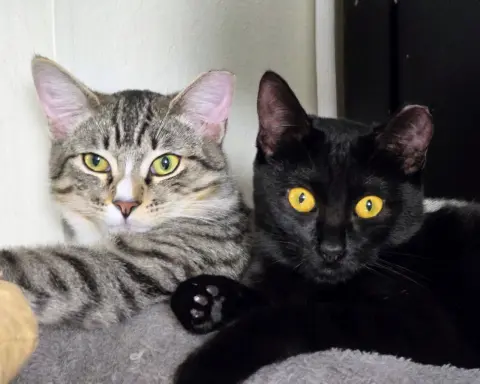 Marky Mark thumbnail 3