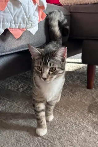 Marky Mark thumbnail 4