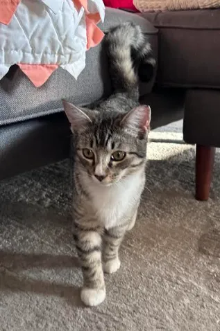 Marky Mark - Photo 4