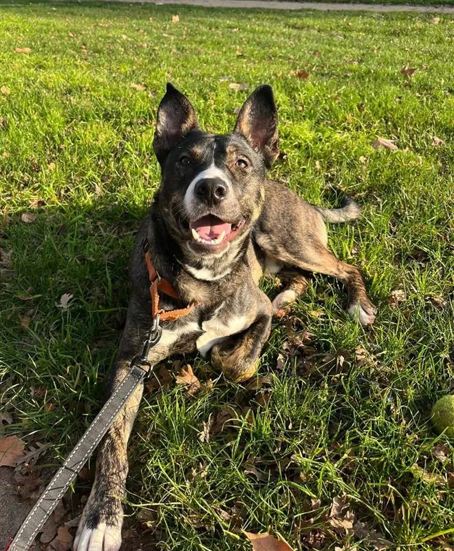 Calamari Joe - Photo 1