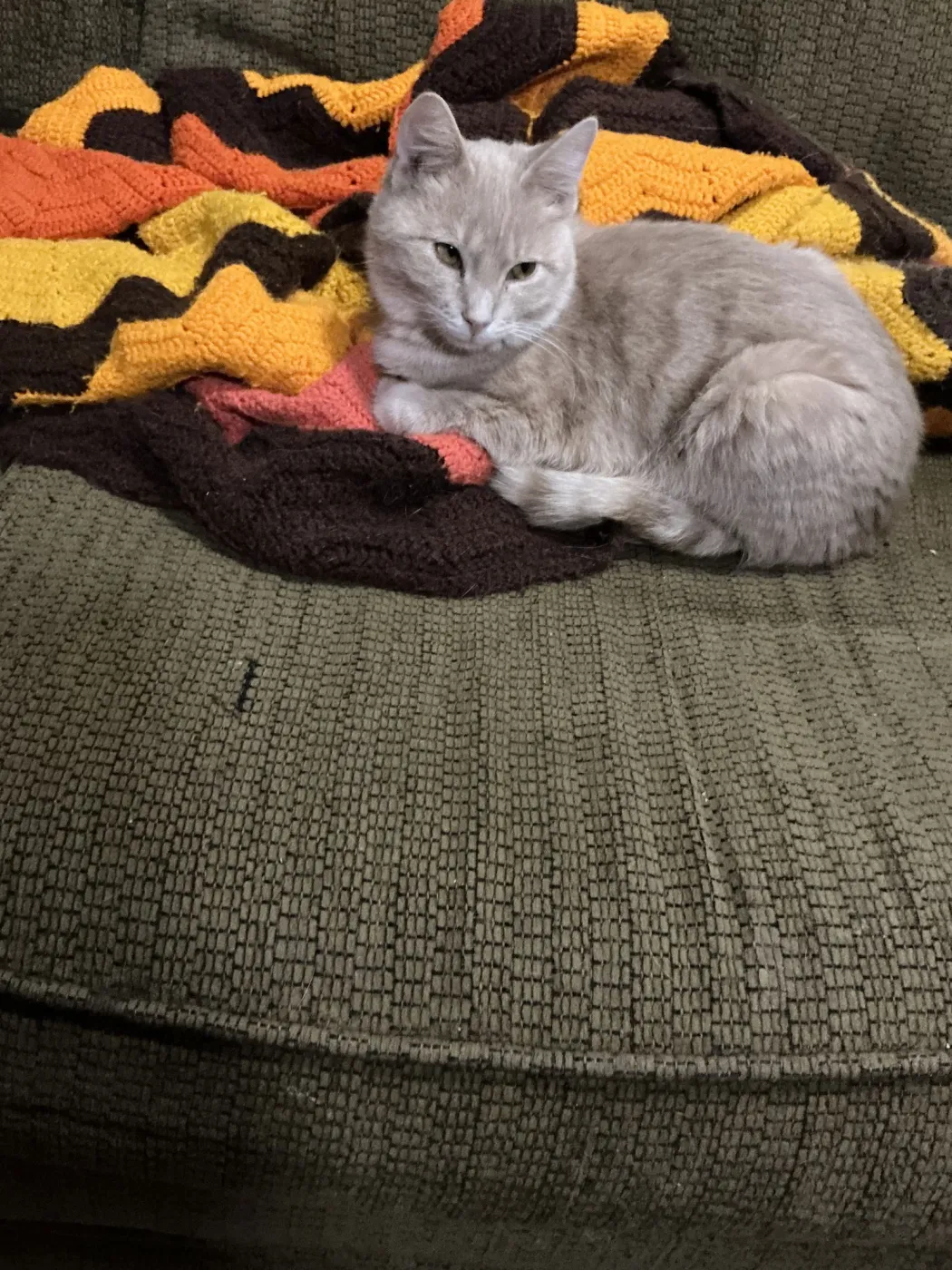 Dollar Bill - Photo 1