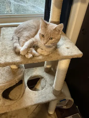 Dollar Bill thumbnail 2