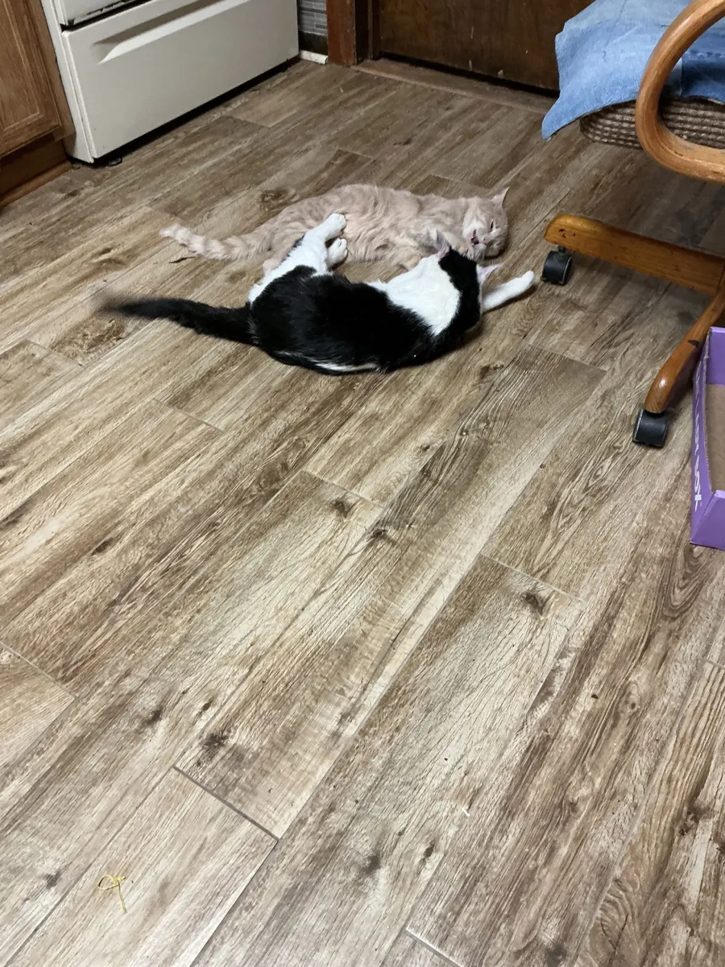 Dollar Bill - Photo 3