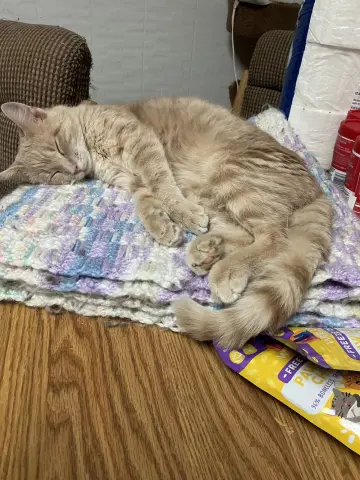 Dollar Bill thumbnail 4