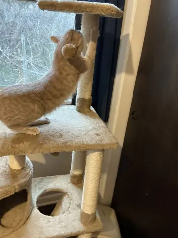 Dollar Bill thumbnail 5