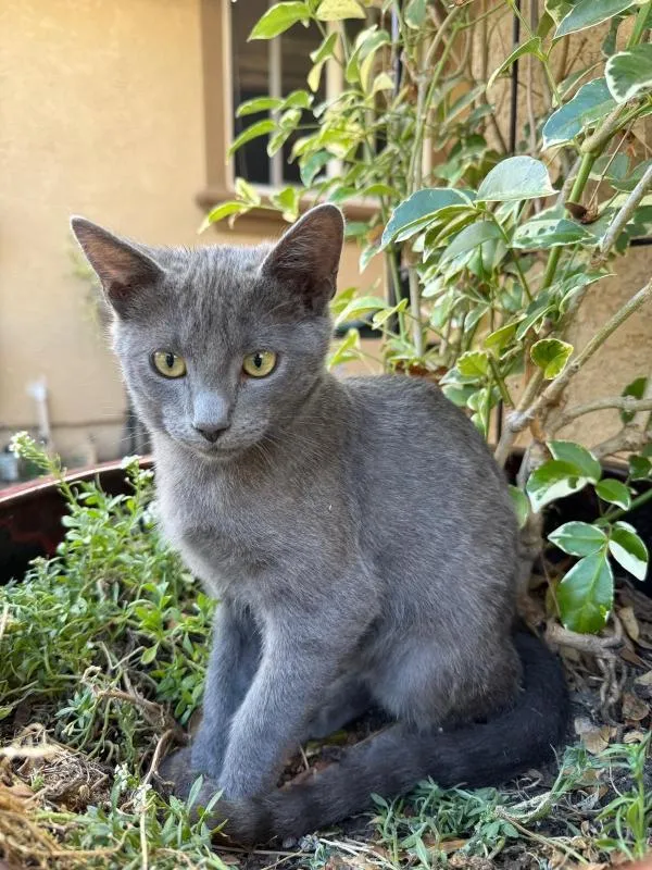 Smokey and Hazel - Photo 2