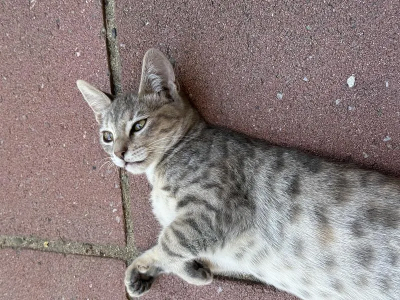 Smokey and Hazel - Photo 3