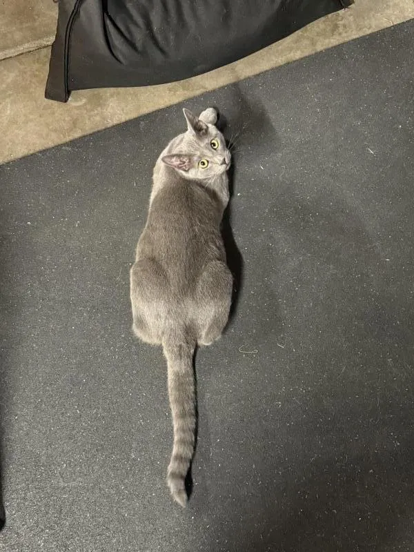 Smokey and Hazel - Photo 4