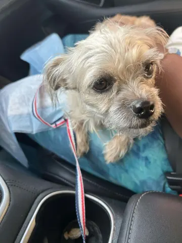 Sparkles thumbnail 2