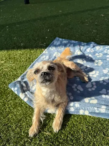 Sparkles thumbnail 4