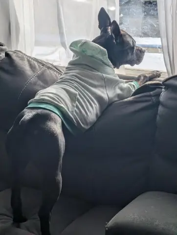 Sapphire thumbnail 4