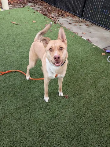 Derek Hostetler thumbnail 2