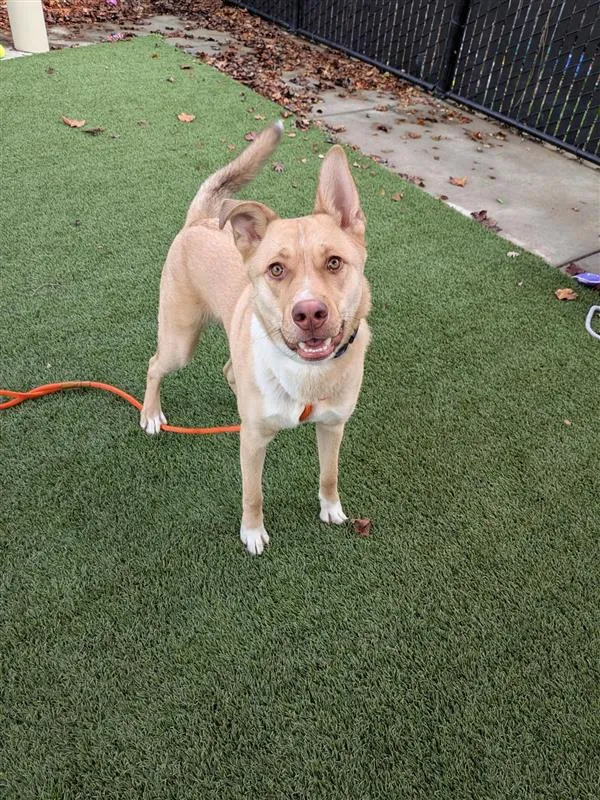 Derek Hostetler - Photo 2