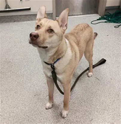 Derek Hostetler thumbnail 3