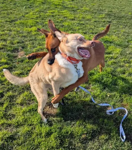 Derek Hostetler thumbnail 4