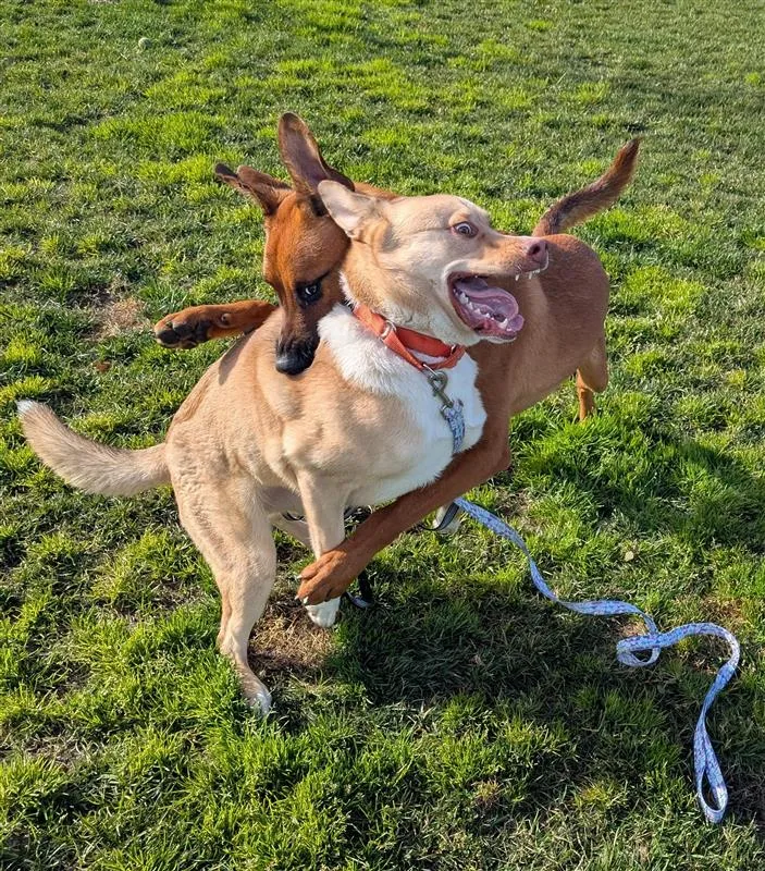 Derek Hostetler - Photo 4