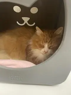 Benjamin thumbnail 2