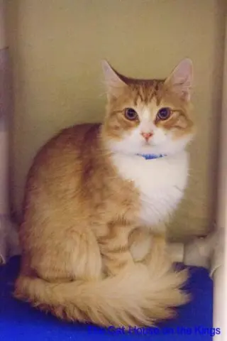 Benjamin thumbnail 3