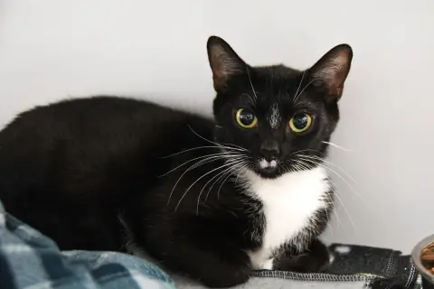 Darby Rose thumbnail 2