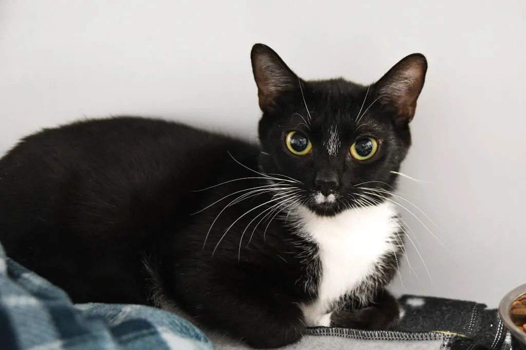 Darby Rose - Photo 2