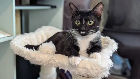 Darby Rose thumbnail 3