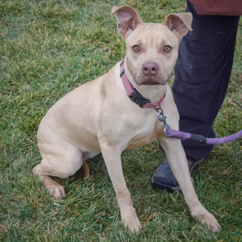 Charlize thumbnail 3