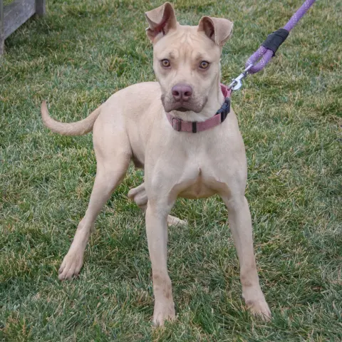 Charlize thumbnail 4