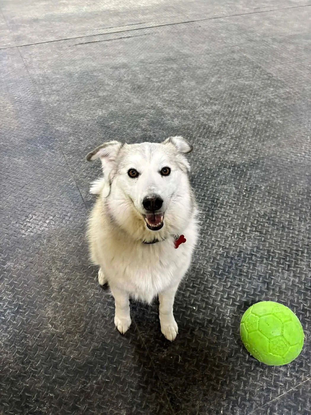 Sallie Mae - Photo 3