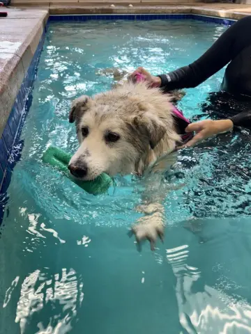 Sallie Mae thumbnail 4