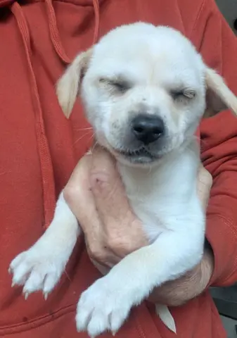 Gary The Snail thumbnail 2