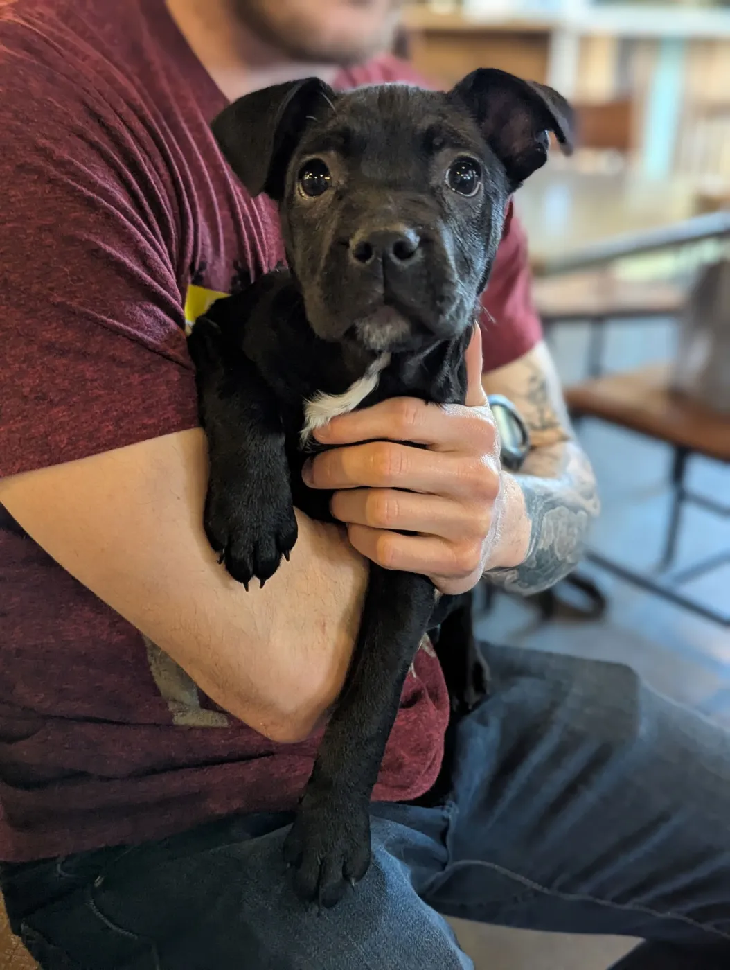 Baba O'Reilly - Photo 1